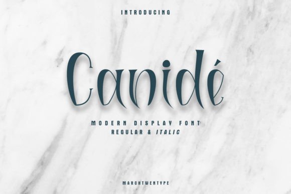 Canidé: A Modern Display Font for Dynamic Campaigns
